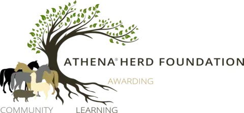 athena-logo---long-version-flipped---standard.png